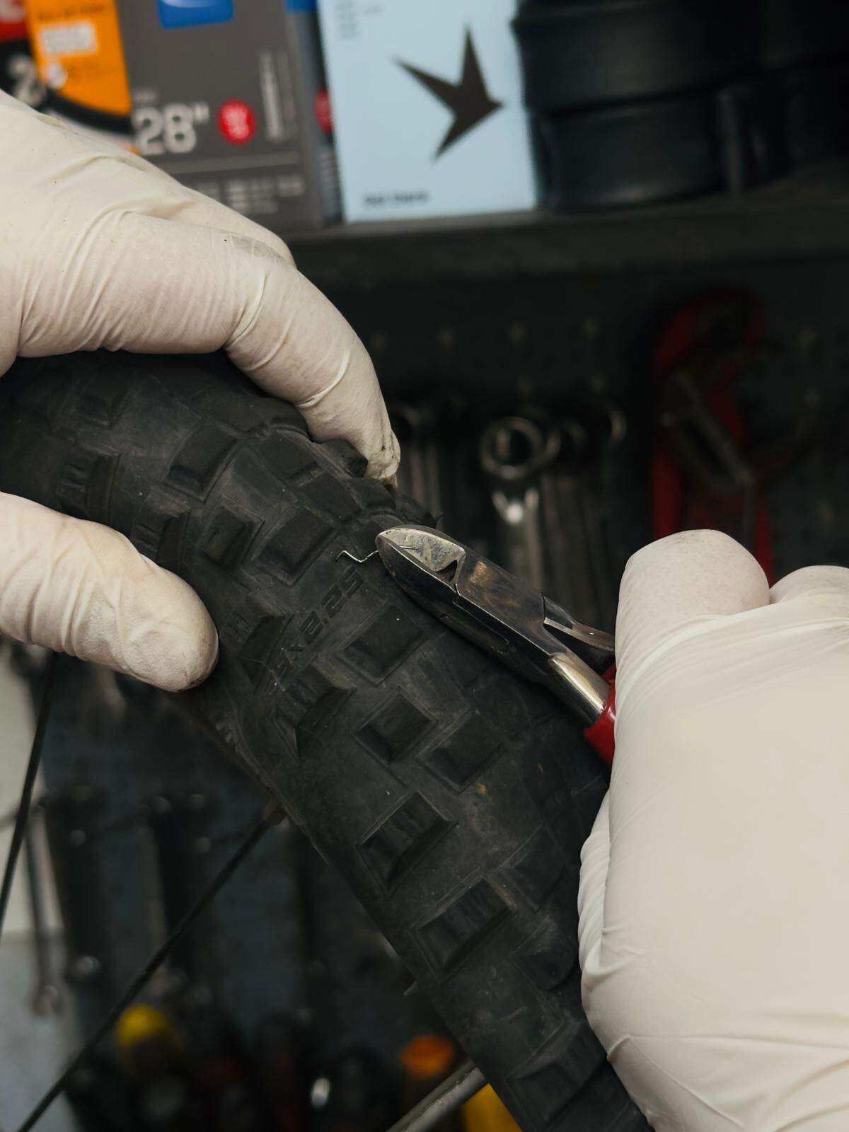 Reifenservice Berlin-Kreuzberg | BikeShop Friesen Fremdkörper wird aus Fahrradreifen entfernt in der Werkstatt BikeShop Friesen Berlin-Kreuzberg — Reifenservice und Pannenbehebung